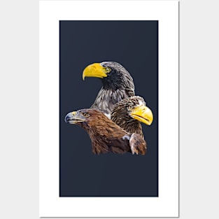 Eagle and eagle Posters and Art